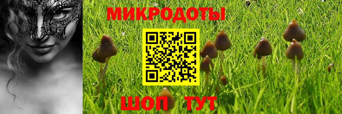Галлюциногенные грибы мухоморы Балахна